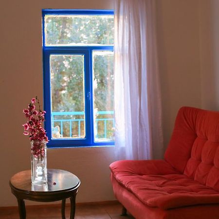 Kaktus Cakil Villa Kaş Dış mekan fotoğraf