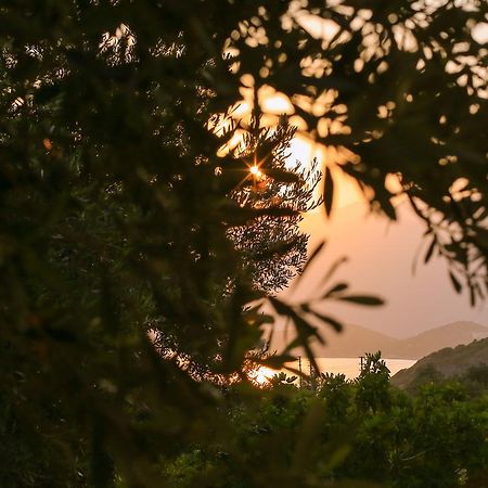 Kaktus Cakil Villa Kaş Dış mekan fotoğraf