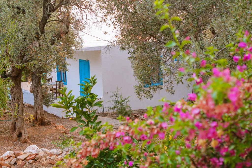 Kaktus Cakil Villa Kaş Dış mekan fotoğraf