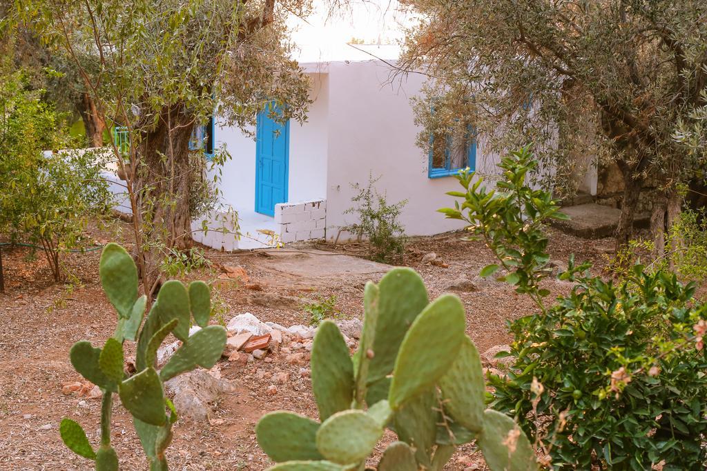 Kaktus Cakil Villa Kaş Dış mekan fotoğraf