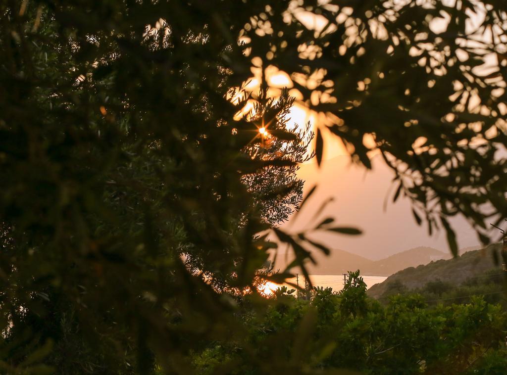 Kaktus Cakil Villa Kaş Dış mekan fotoğraf