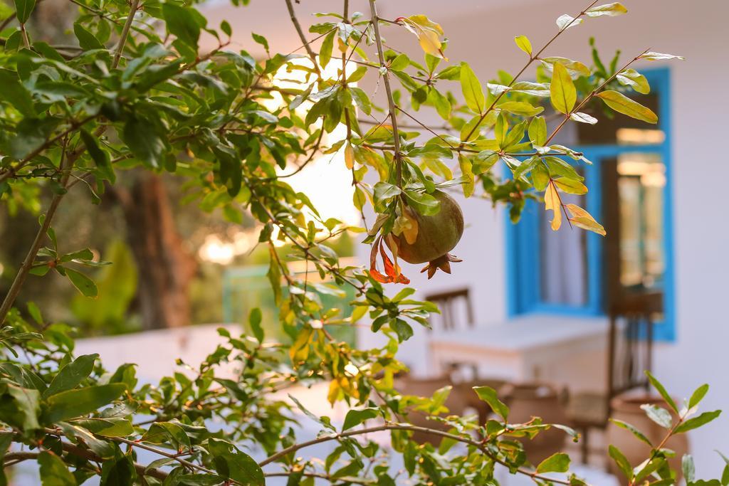 Kaktus Cakil Villa Kaş Dış mekan fotoğraf