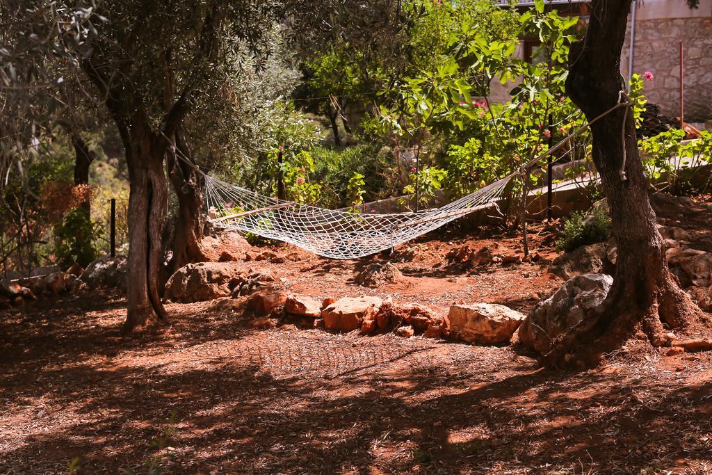 Kaktus Cakil Villa Kaş Dış mekan fotoğraf